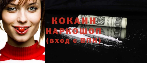 крисы Козельск