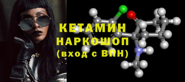 крисы Козельск