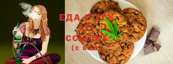 крисы Козельск